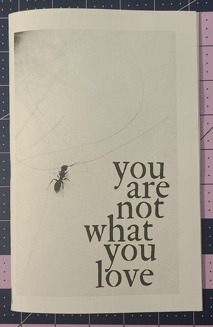 You Are Not What You Love